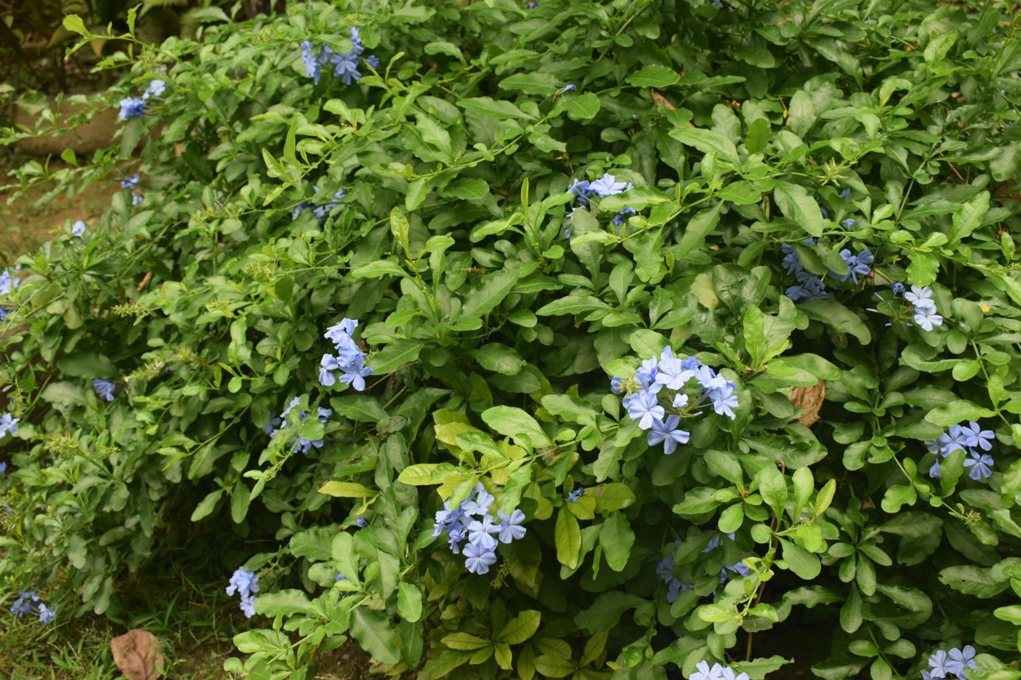 Namaya Nature 康提 外观 照片